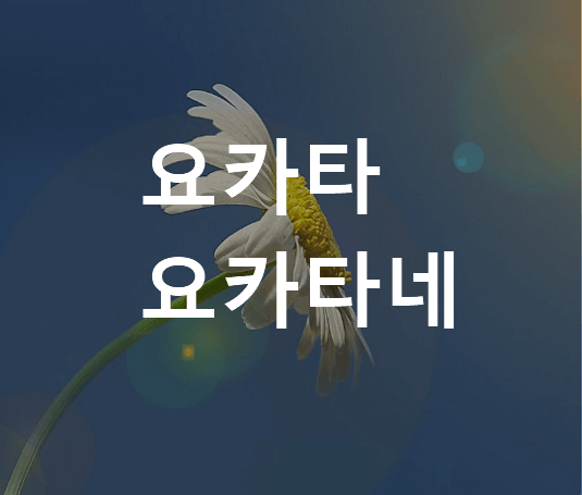 요카타 뜻