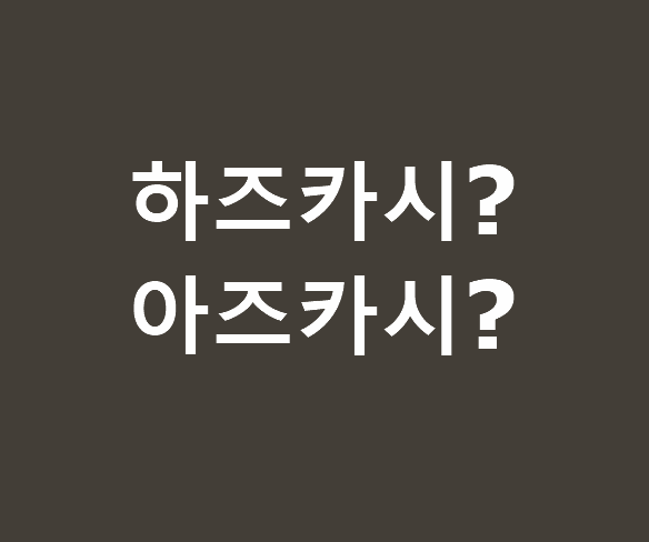 하즈카시 뜻