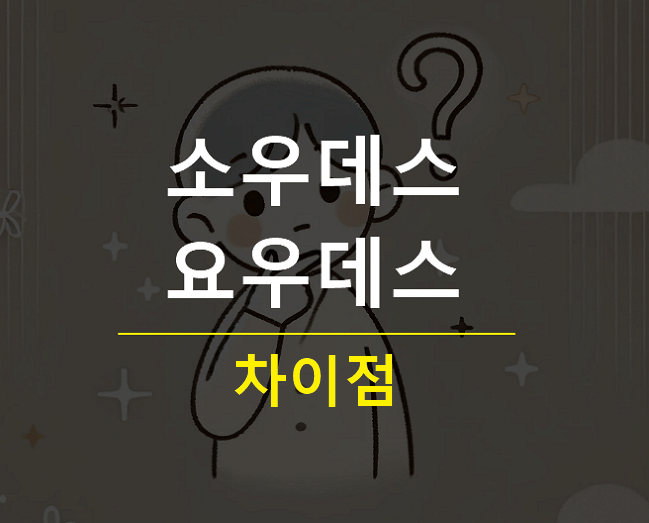 소우데스 요우데스 차이점