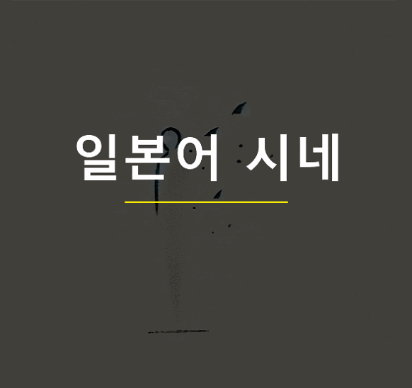 일본어 시네 시누 차이